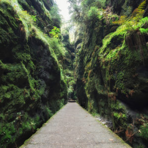 Germany, Saxony, Saxon Switzerland Germany, Saxony, Saxon Switzerland